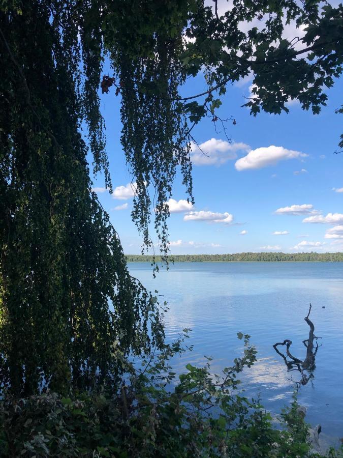 Osada Ladimorg Villa Moryn Екстериор снимка